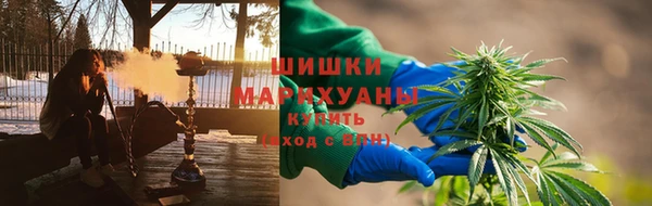 сатива Инта