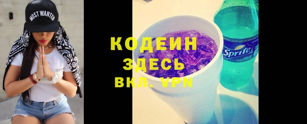 сатива Инта
