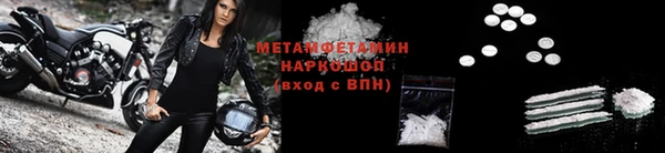 сатива Инта