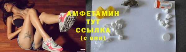 сатива Инта