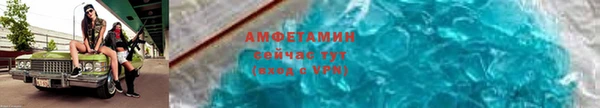 сатива Инта