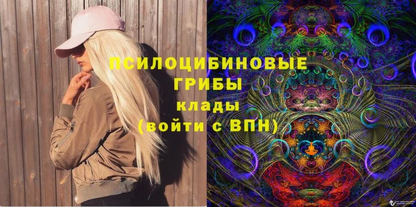 сатива Инта