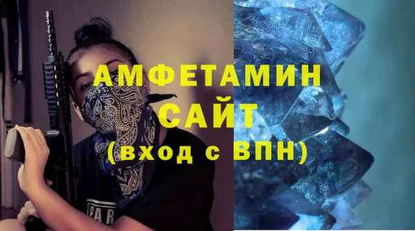 сатива Инта
