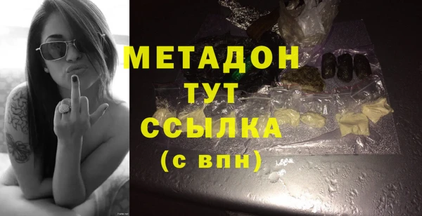 сатива Инта
