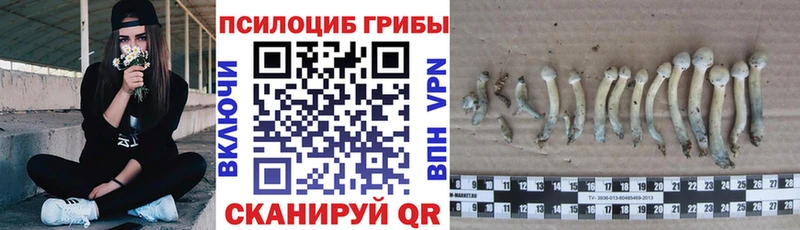 Галлюциногенные грибы GOLDEN TEACHER Красный Сулин