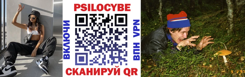 Купить закладки  Красный Сулин  Псилоцибиновые грибы Cubensis 